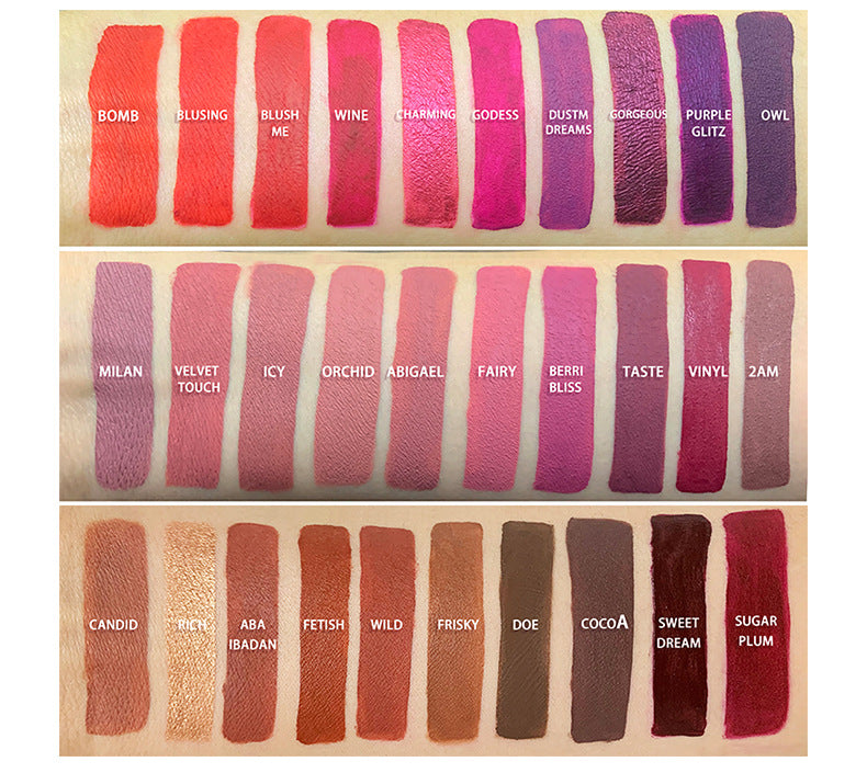 Neutral Lip Gloss Lipstick Matte Lip Gloss Velvet Lip